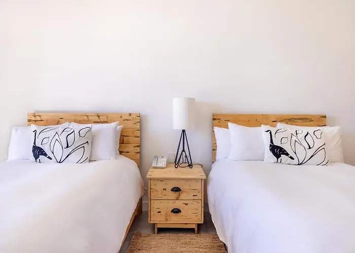 Hotel El Ganzo Adults Only